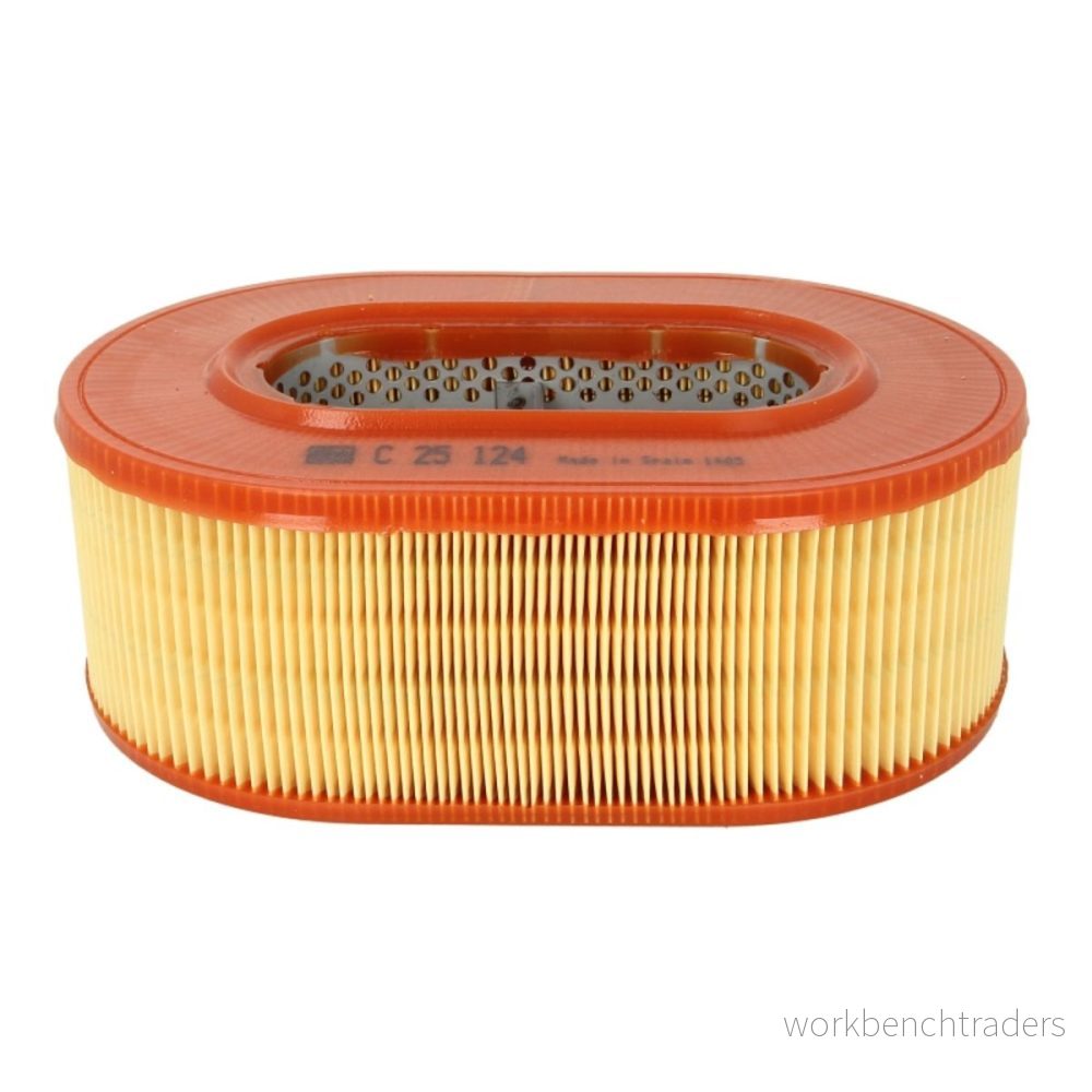 Luftfilter MANN FILTER C 25 124 4011558133702