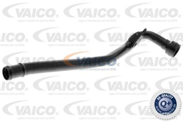 VAICO V10 4753 Reniflard Carter Moteur Q+, Première Monte AUDI: A4 B5 Avant, Berline, B6 VOLKSWAGEN: Passat GP Berline 4046001835216