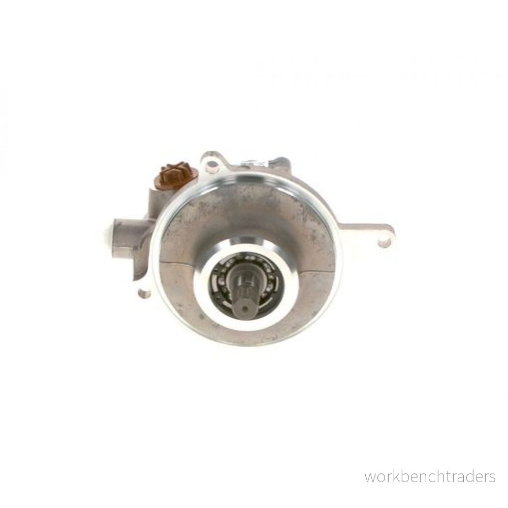Bosch Styrservopump K S00 000 384 4047025443388