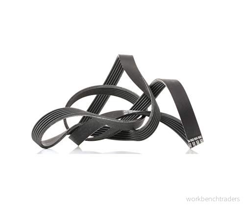 Flerspårsrem CONTINENTAL CTAM 6PK1830 4010858500825