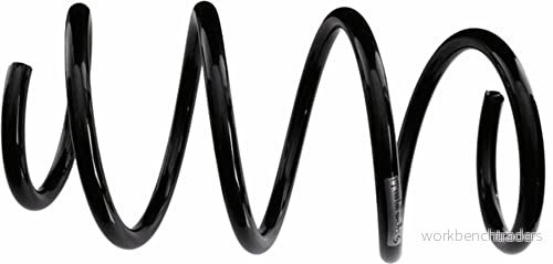 Spiralfjäder SACHS 993 883 4013872960040