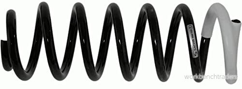 Spiralfjäder Sachs 994755 4013872900305
