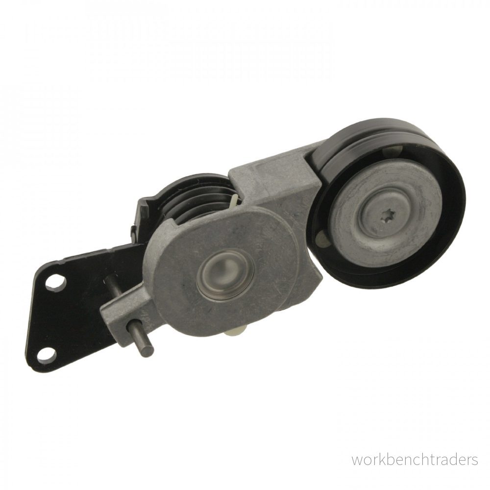 FEBI BILSTEIN 30620 Galet Tendeur VOLKSWAGEN: Polo IV 3/5 portes, SKODA: Fabia I 5 2, 1 Praktik, SEAT: Ibiza 3 4027816306207