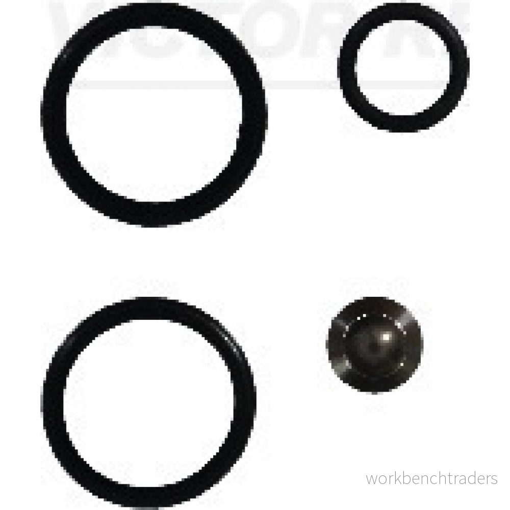 REINZ 15 38642 02 Kit de réparation, unité pompe injecteur AUDI: A3 Sportback, 3/5 portes, A4 B7 Avant, VOLKSWAGEN: Golf 5, Touran I 4026634478721