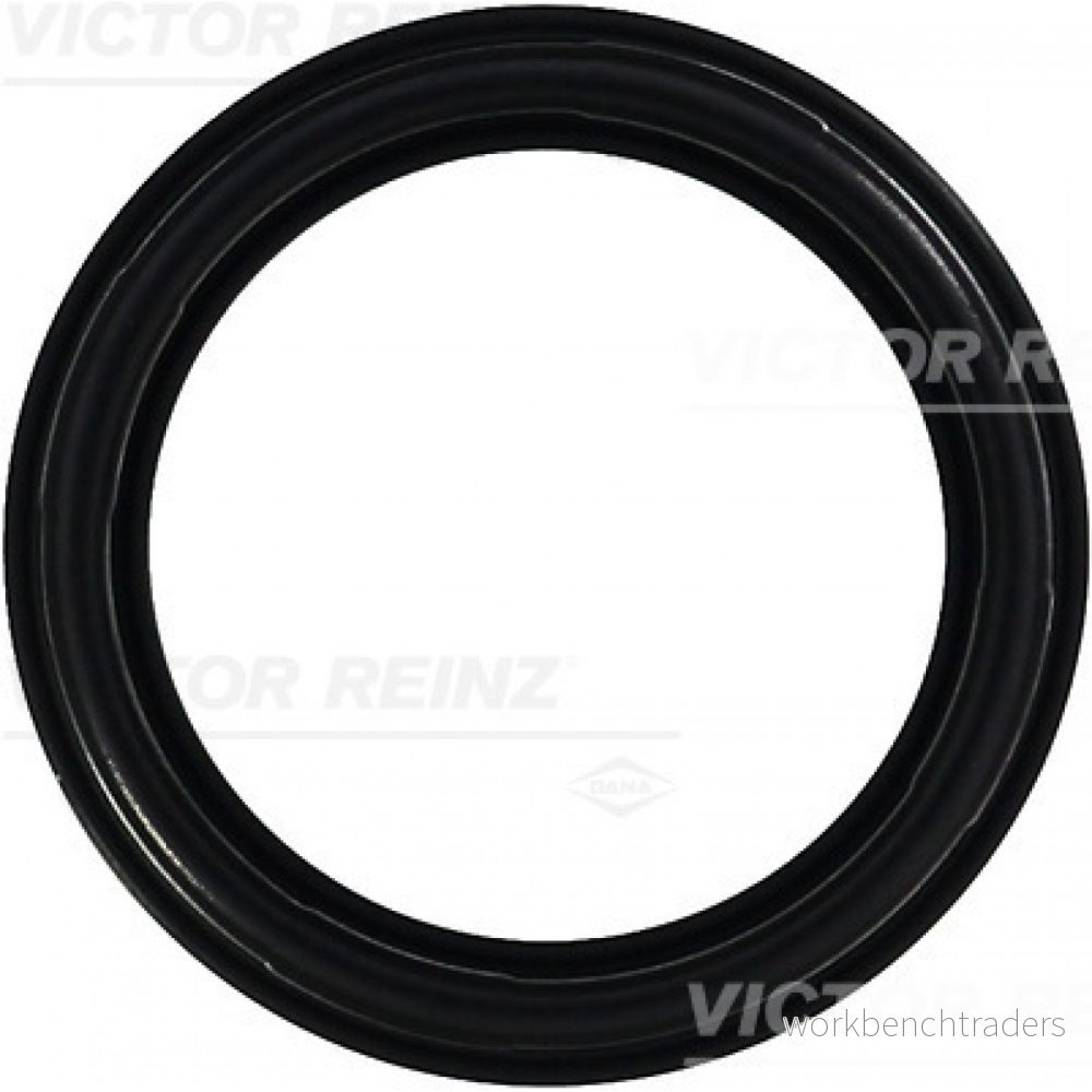REINZ 71 35659 00 Joint De Cache Culbuteurs FIAT: Punto II 3/5 portes, Stilo Coupe, LANCIA: DELTA 2, Dedra Berline, Kappa Berline 4026634315019